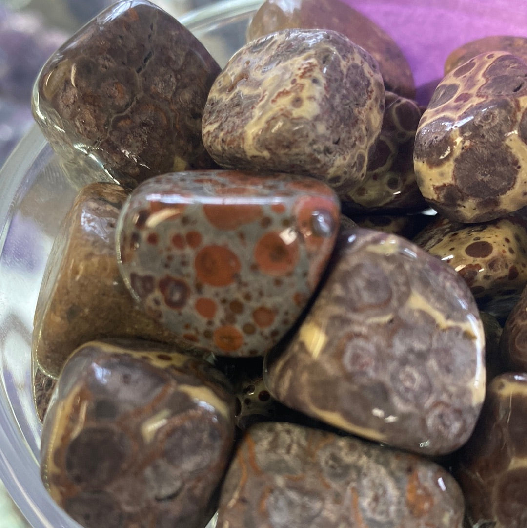 Asteroid Jasper Tumble Mountain Mineral Market
